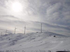 Αιολική Παναχαϊκού